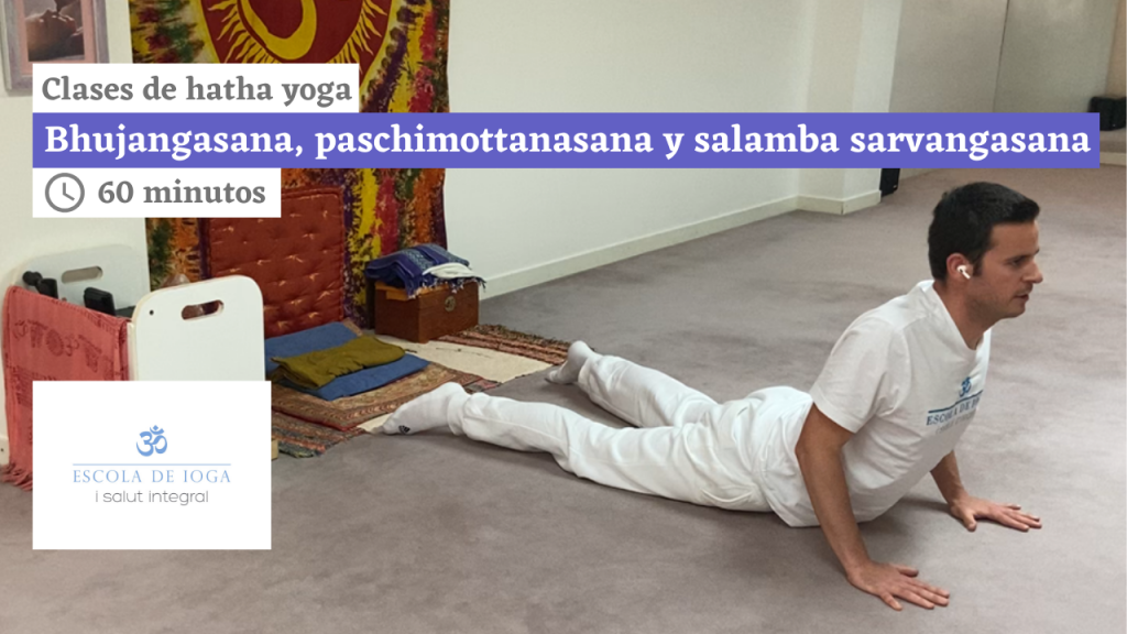Hatha yoga: bhujangasana, paschimottanasana y salamba sarvangasana