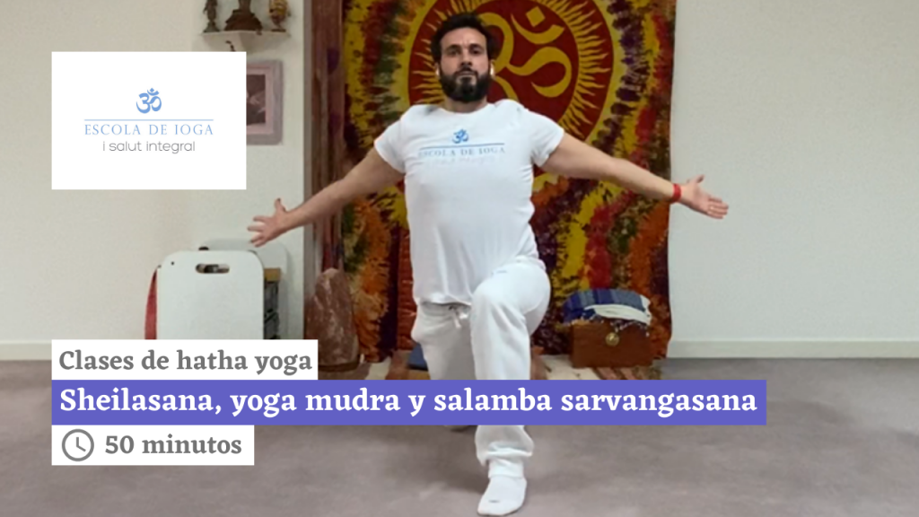Hatha yoga: surya namaskar, sheilasana, yoga mudra y salamba sarvangasana