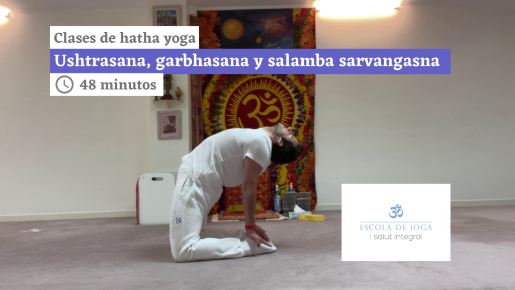 Hatha yoga: ushtrasana, garbhasana y salamba sarvangasana