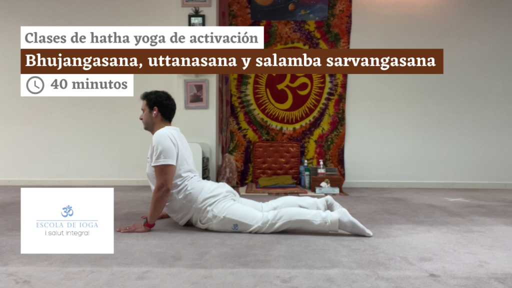 Hatha yoga de activación: bhujangasana, uttanasana y salamba sarvangasana