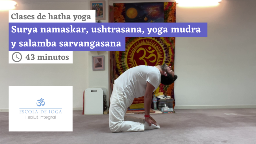 Hatha yoga: surya namaskar, ushtrasana, yoga mudra y salamba sarvangasana