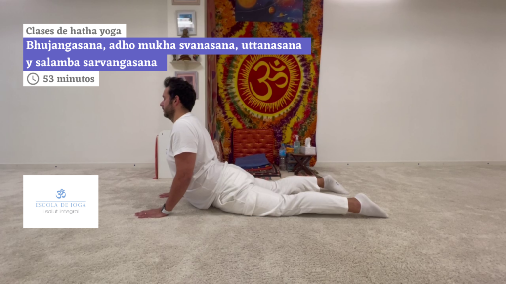 Hatha yoga: bhujangasana, adho mukha svanasana, uttanasana y salamba sarvangasana