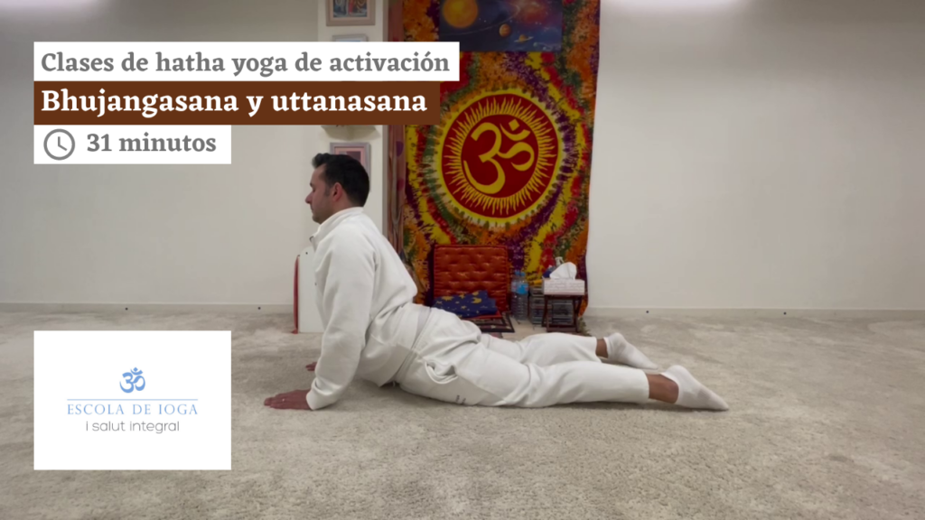 Hatha yoga de activación: bhujangasana y uttanasana