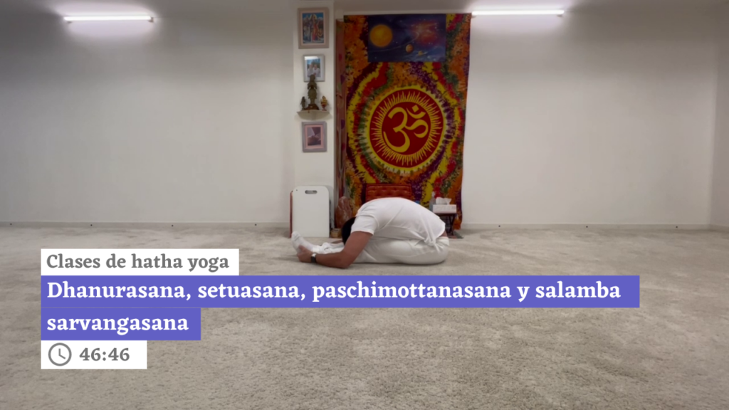 Hatha yoga: dhanurasana, setuasana, paschimottanasana y salamba sarvangasana