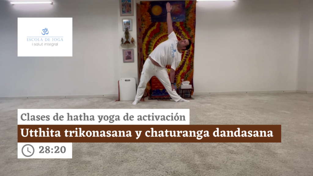 Hatha yoga de activación: utthita trikonasana y chaturanga dandasana