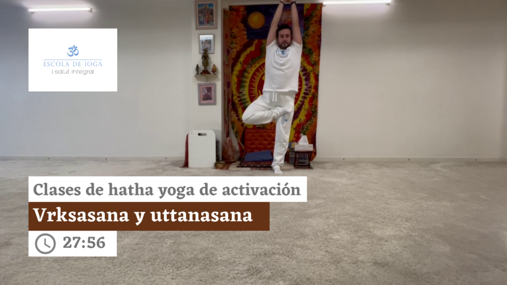 Hatha yoga de activación: vrksasana y uttanasana