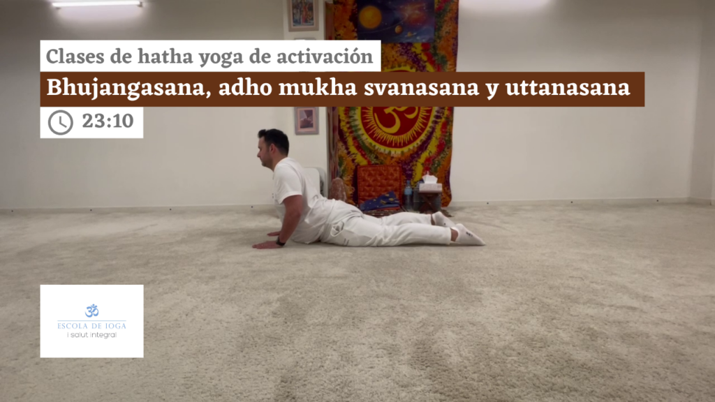 Hatha yoga de activación: bhujangasana, adho mukha svanasana y uttanasana