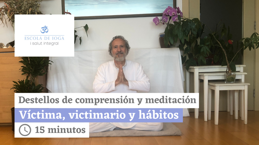 Destellos de comprensión y meditación. Modélico, marginado y reactivo