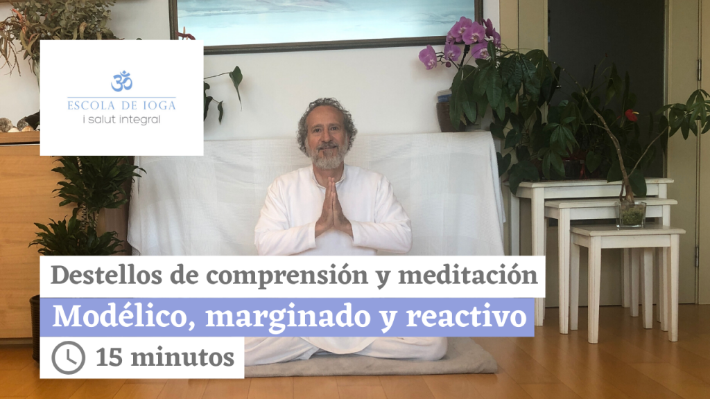 Destellos de comprensión y meditación. Víctima, victimario y hábitos