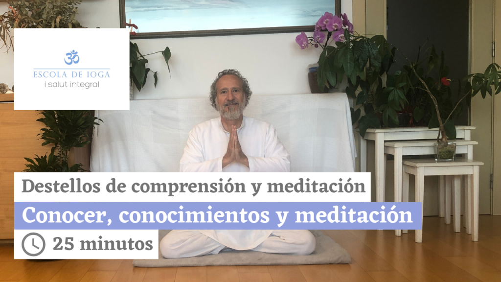 Destellos de comprensión y meditación. La envidia y los celos