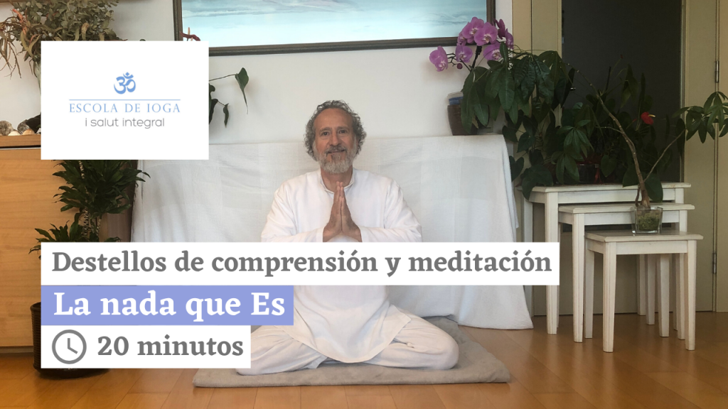 Destellos de comprensión y meditación. La ambición y la avaricia