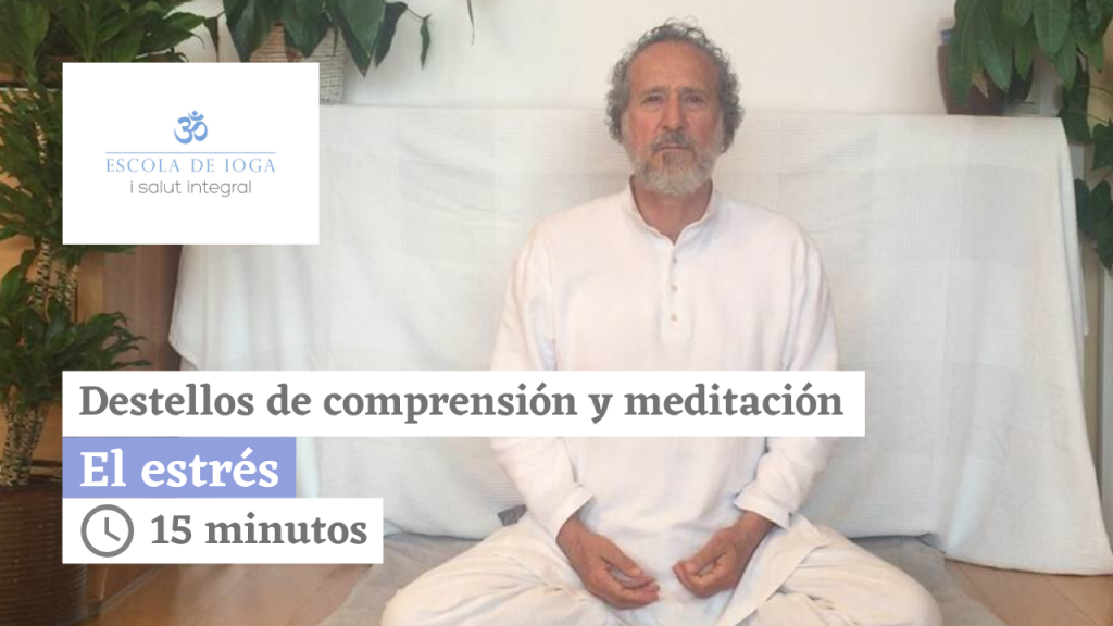 Destellos de comprensión y meditación. El niño: angustia y separación