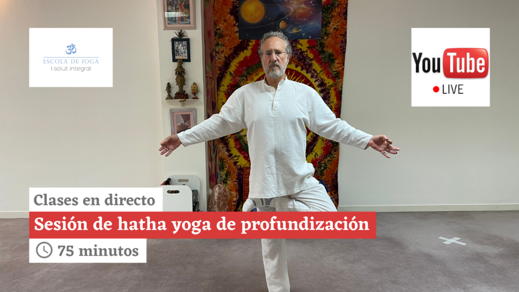 Hatha yoga de profundización. Lunes 23 de noviembre de 18:15 a 19:30