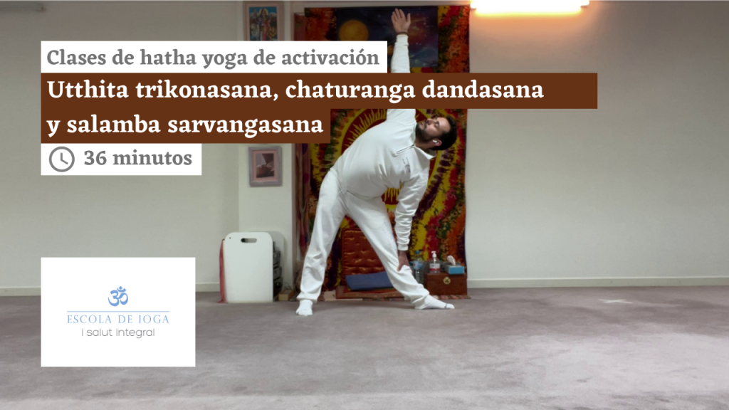 Hatha yoga de activación: utthita trikonasana, chaturanga dandasana y salamba sarvangasana