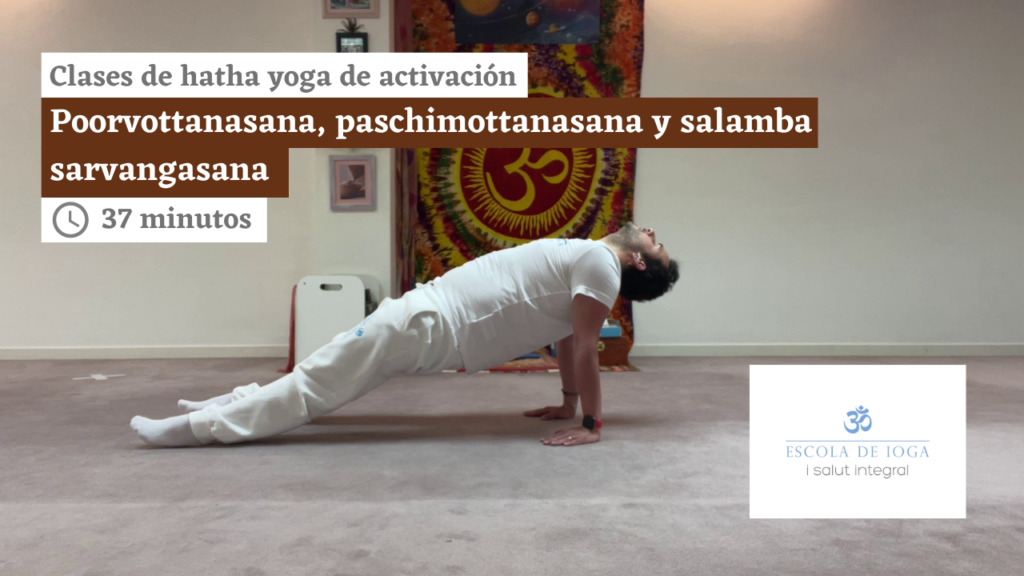 Hatha yoga de activación: poorvottanasana, paschimottanasana y salamba sarvangasana