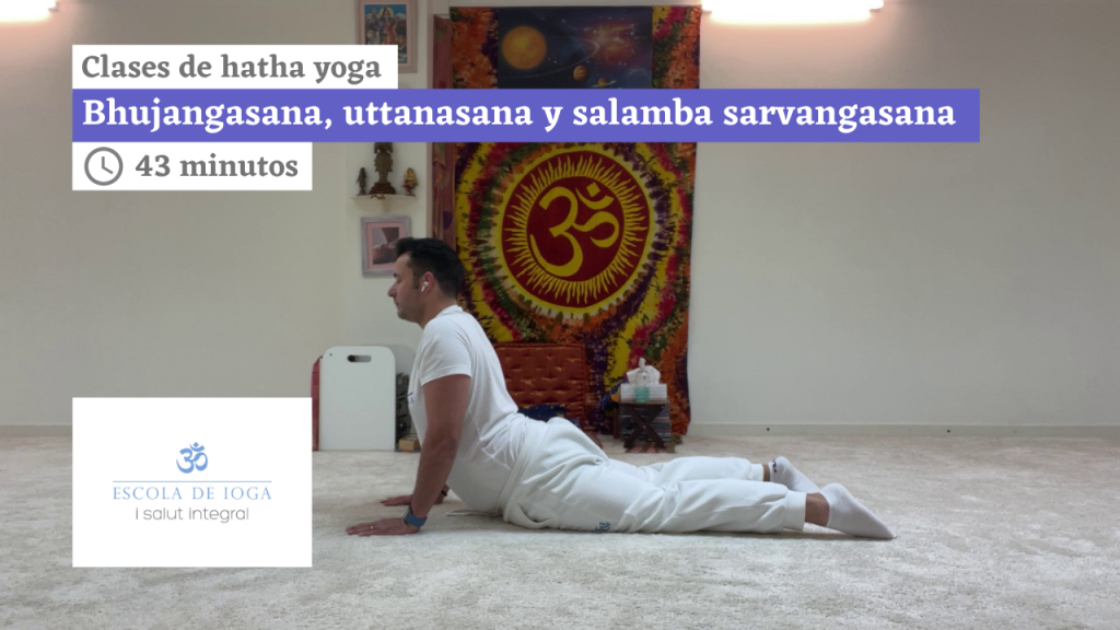 Hatha yoga: bhujangasana, uttanasana y salamba sarvangasana