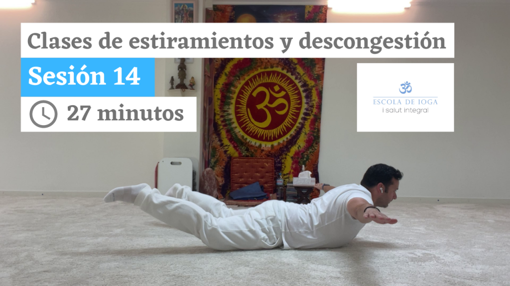 Estiramientos y descongestión: sesión 14
