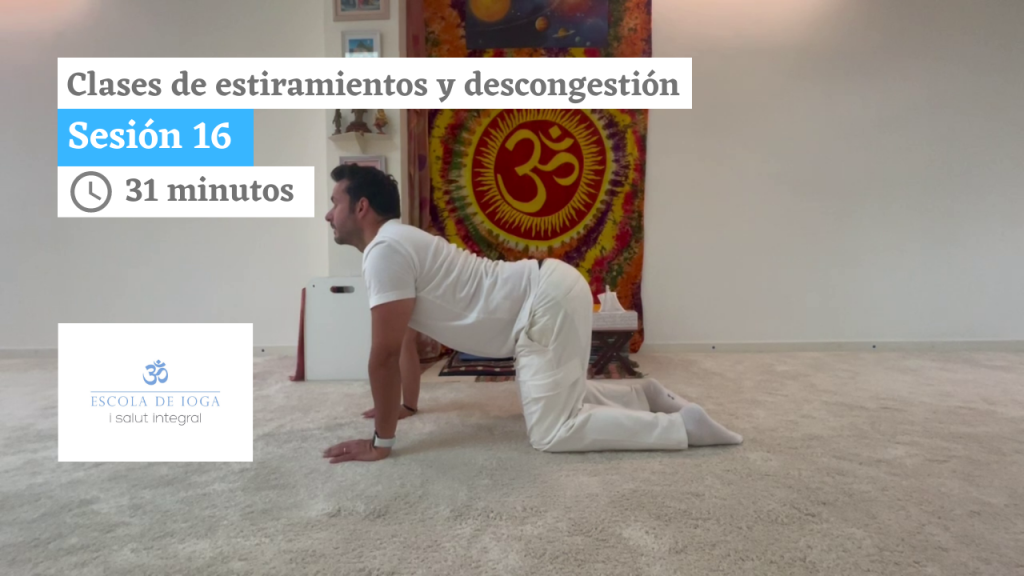 Estiramientos y descongestión: sesión 16