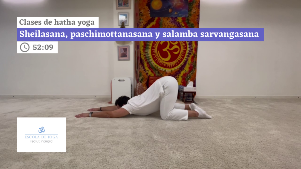 Hatha yoga: sheilasana, paschimottanasana y salamba sarvangasana