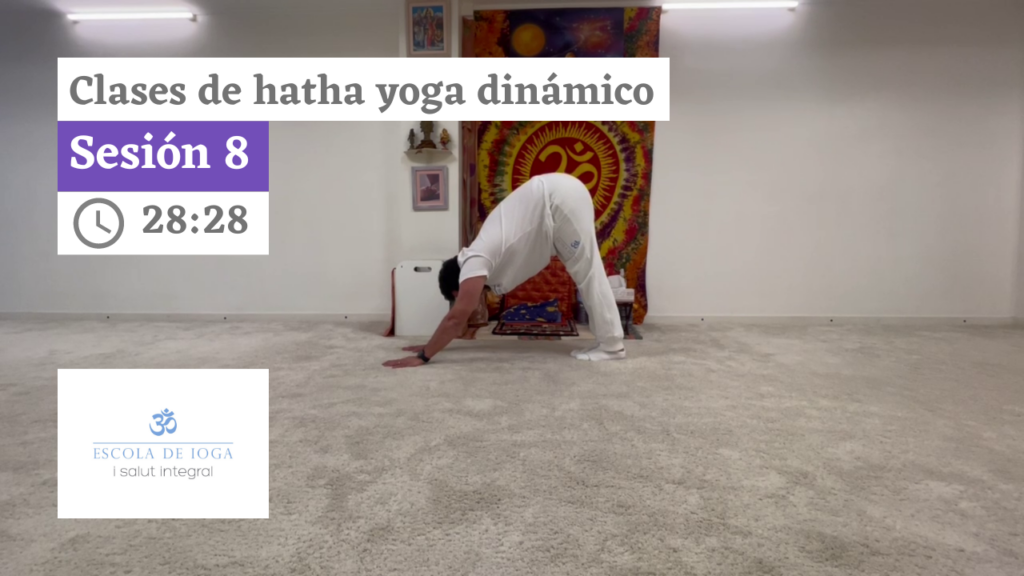 Hatha yoga dinámico: sesión 8
