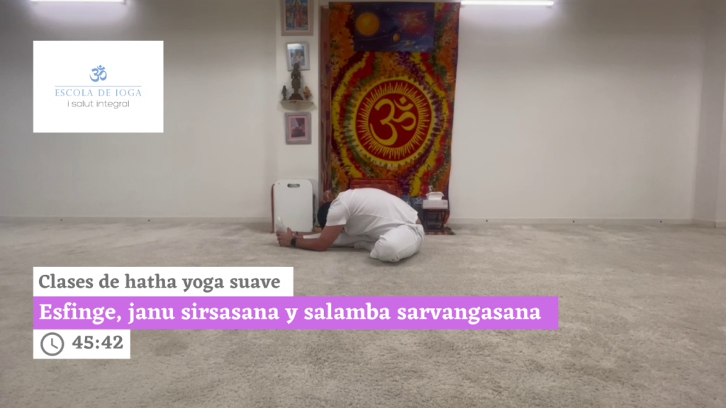 Hatha yoga suave: esfinge, janu sirsasana y variante de salamba sarvangasana