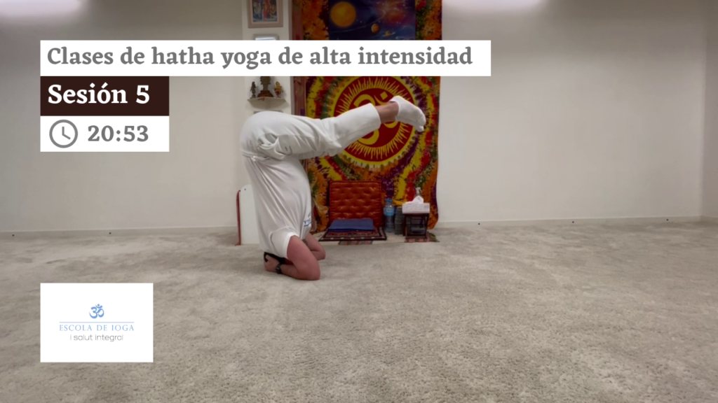 Hatha yoga de alta intensidad: sesión 5